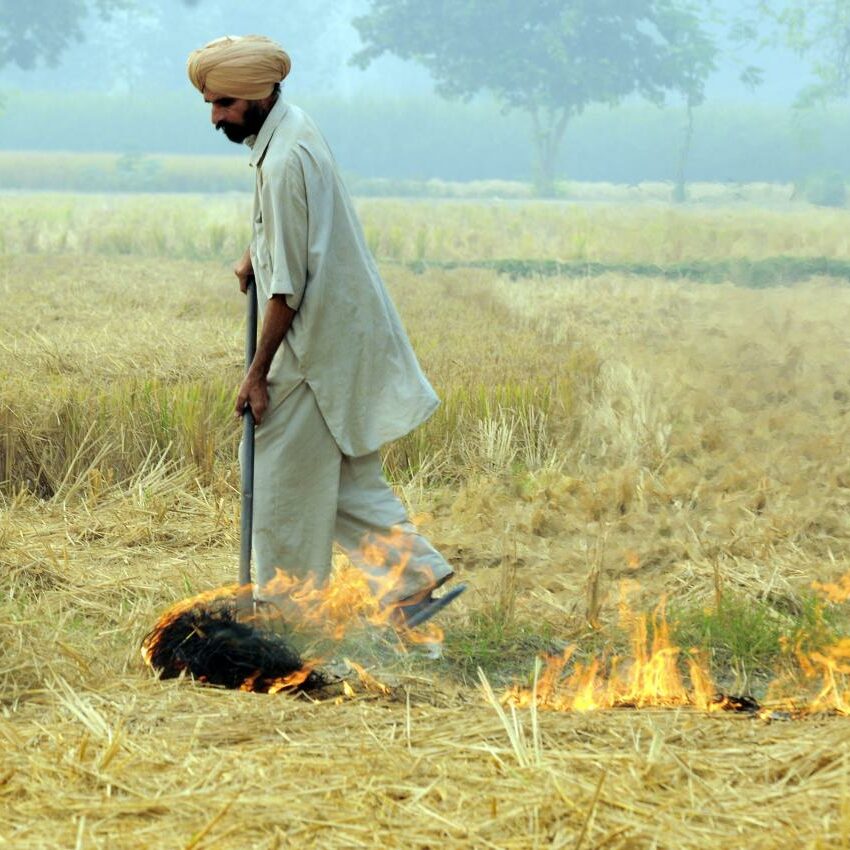 Encouraging alternatives to stubble burning in Punjab (2020-ongoing)