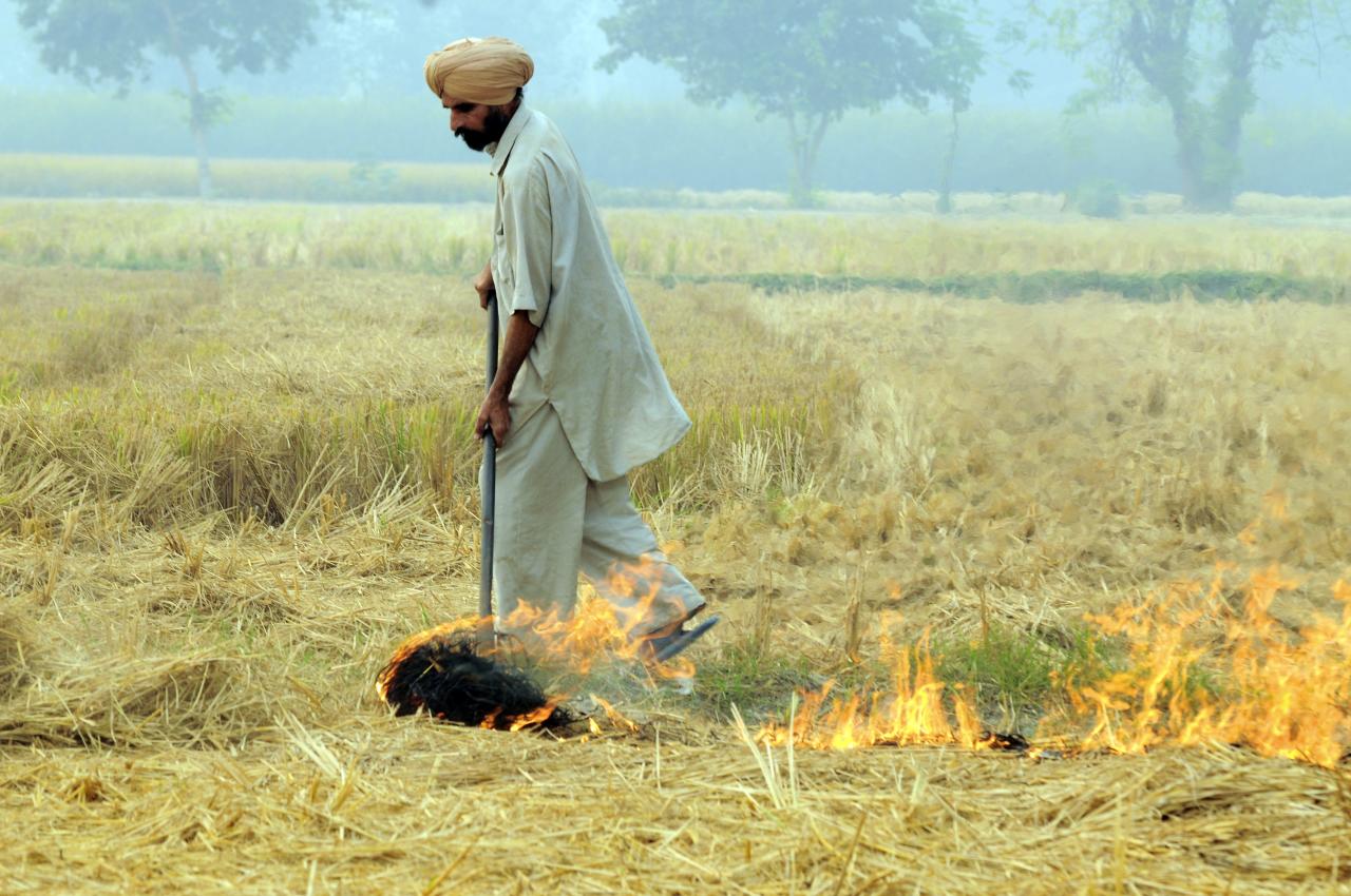 https://a-pag.org/wp-content/uploads/2022/05/Punjab-Stubble-and-Crop-Burning.jpg